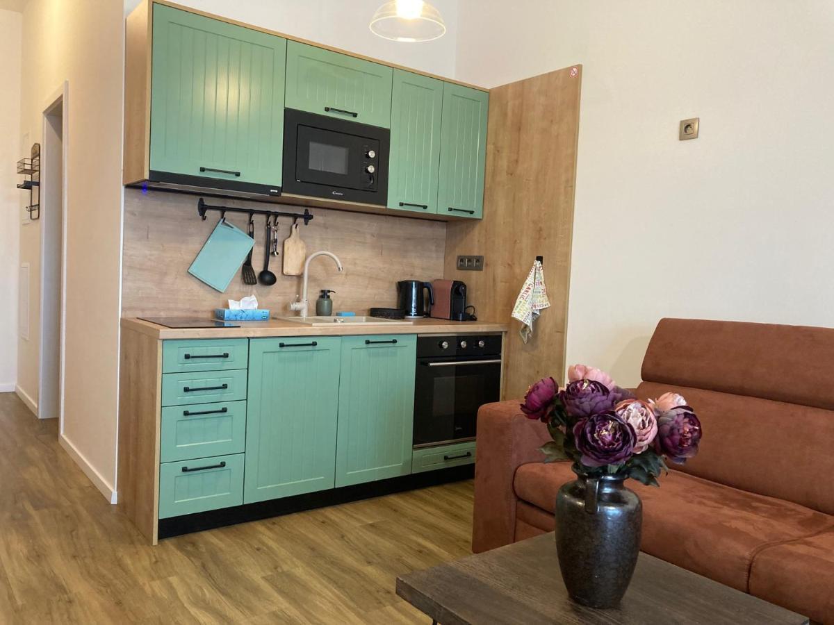 Stylovy Apartman A409 V Centre Nr, Parkovanie V Cene Nyitra Kültér fotó