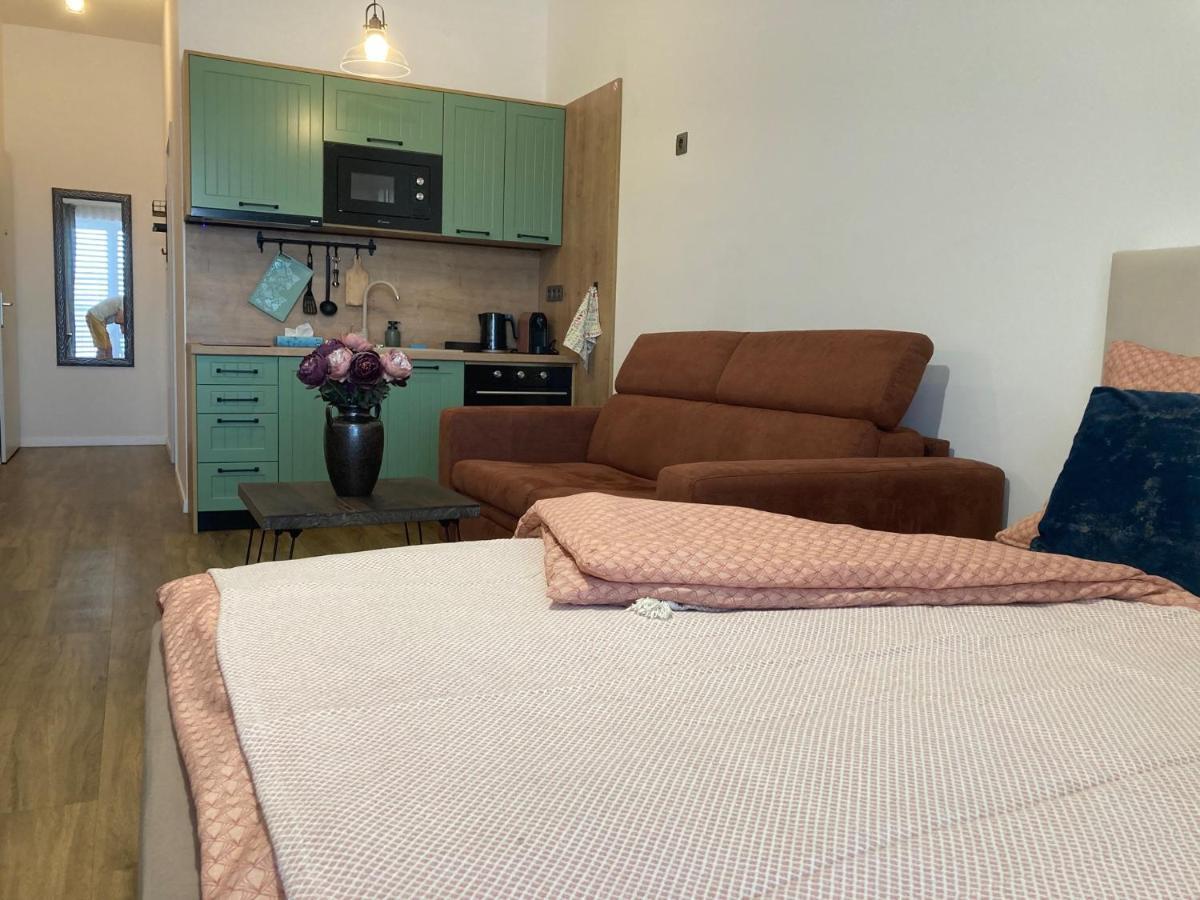 Stylovy Apartman A409 V Centre Nr, Parkovanie V Cene Nyitra Kültér fotó